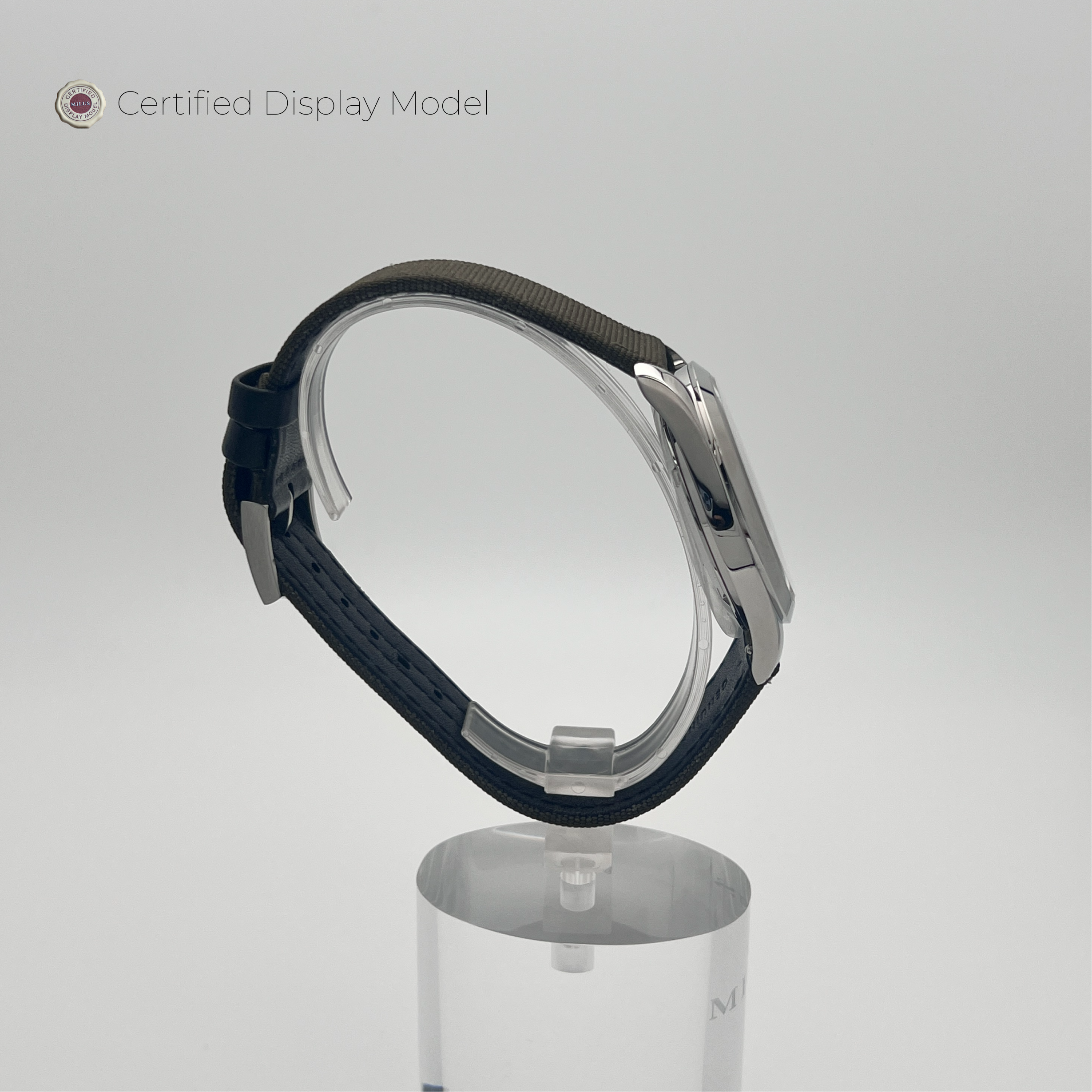 Snow Star - Night Black