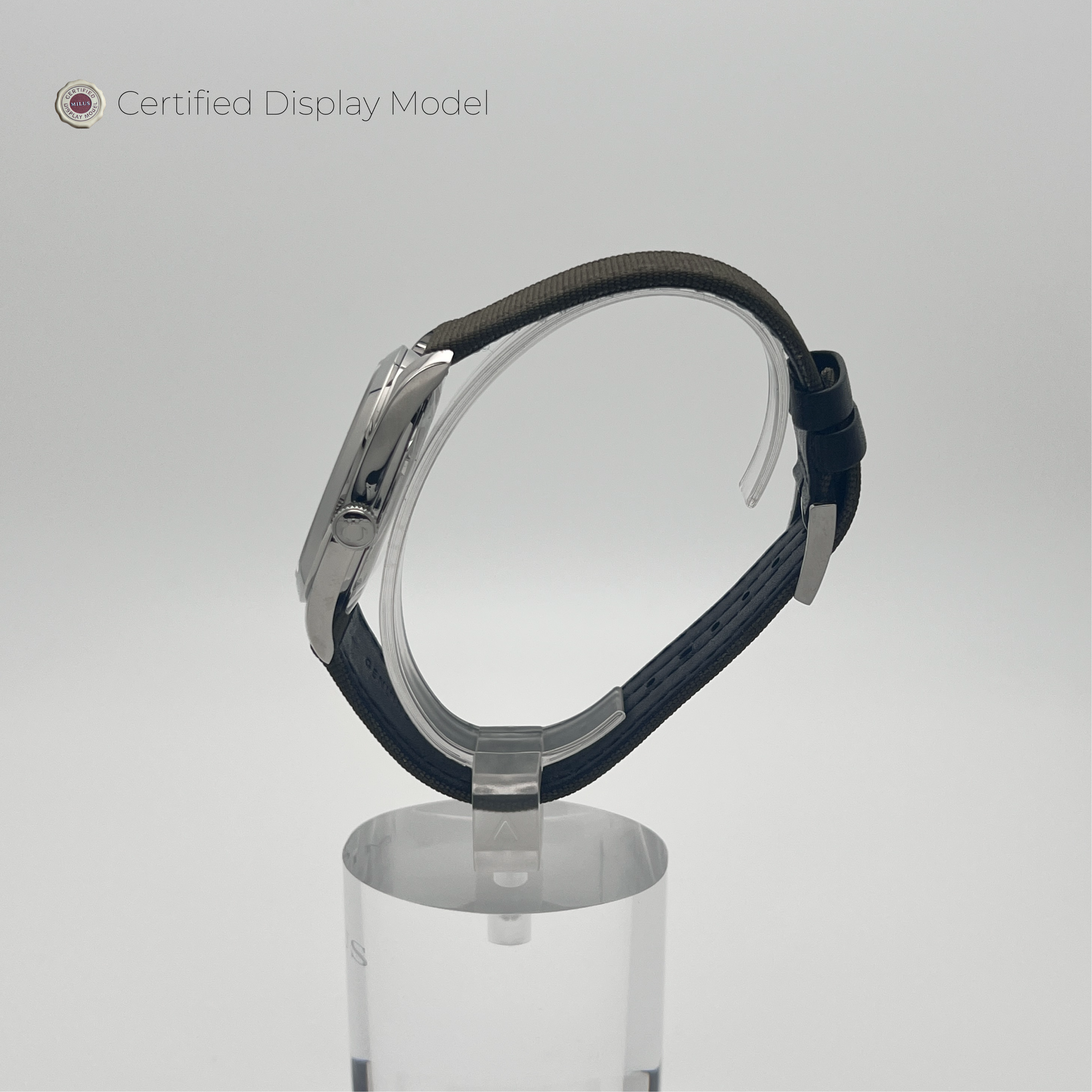 Snow Star - Night Black